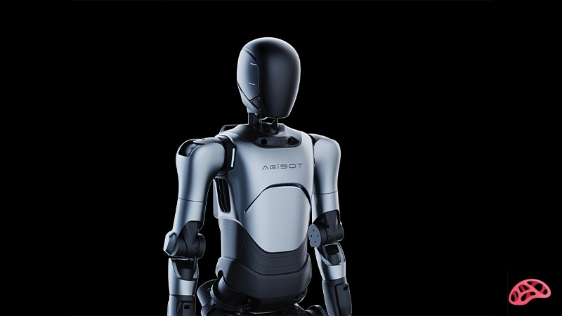 ربات های انسان نما در 2030