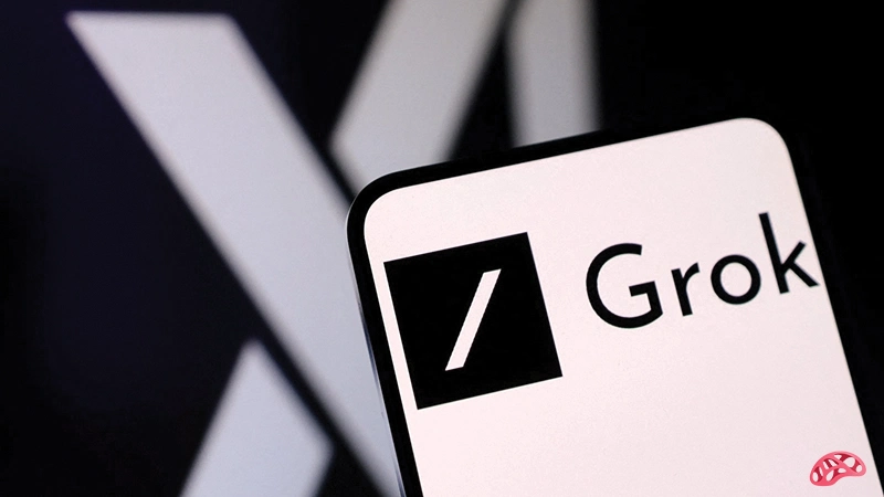 افشای اطلاعات Grok