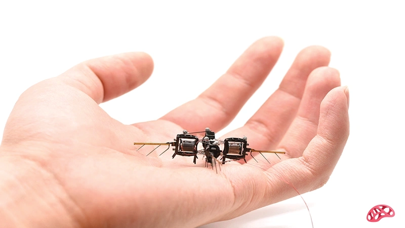 ربات های پرنده کوچک